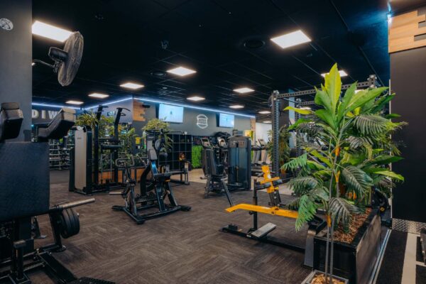 fitness gym space